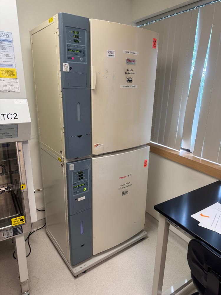 Image of Thermo Steri-Cult Double Stack CO2 Incubator